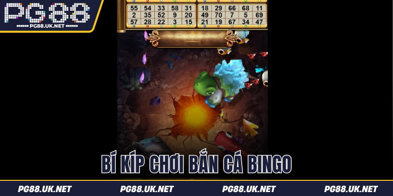 Bí kíp chơi Bắn Cá Bingo nắm chắc phần thắng