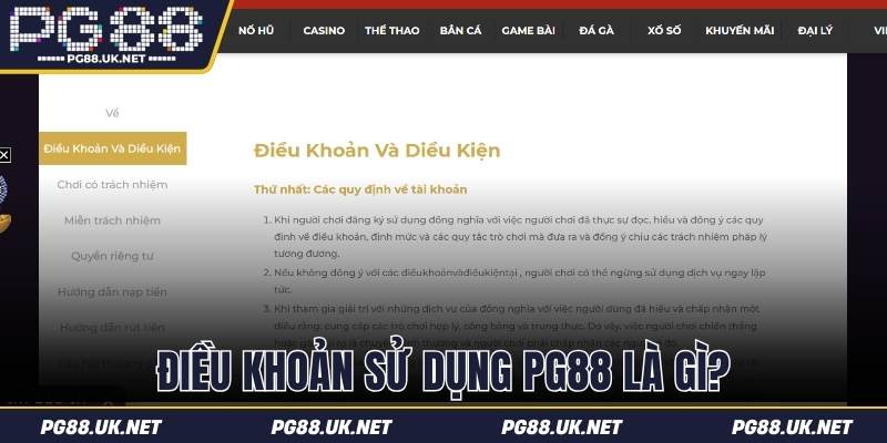 Điều khoản sử dụng cùng những thông tin cần biết