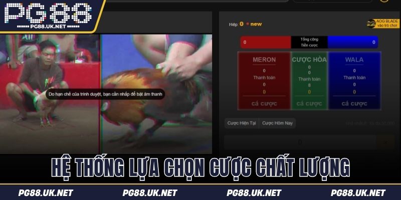 Hệ thống lựa chọn cược chất lượng trên nền tảng