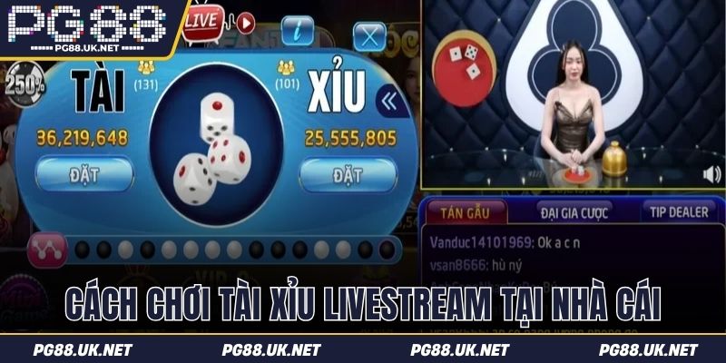 Hướng dẫn chơi tài xỉu livestream tại nhà cái