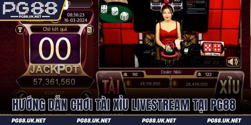 Hướng dẫn chơi tài xỉu livestream