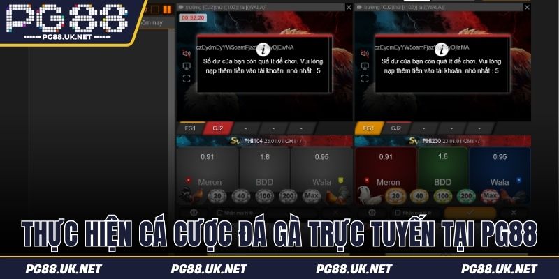 Thực hiện cách cá cược đá gà trực tuyến tại PG88
