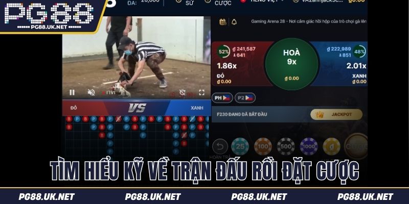 Tìm hiểu kỹ về trận đấu rồi đặt cược